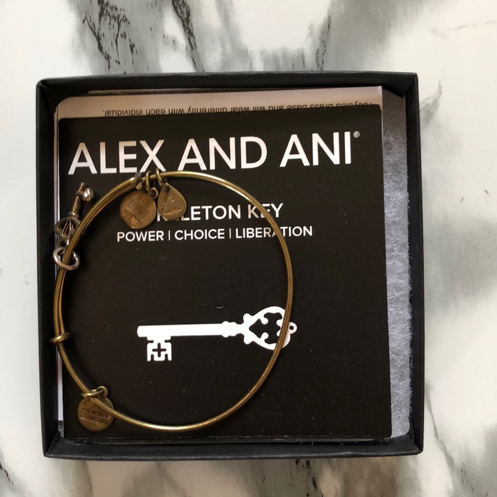 Alex and Ani Skeleton Key Bracelet